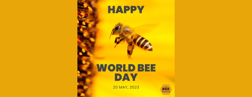 international_bee_day